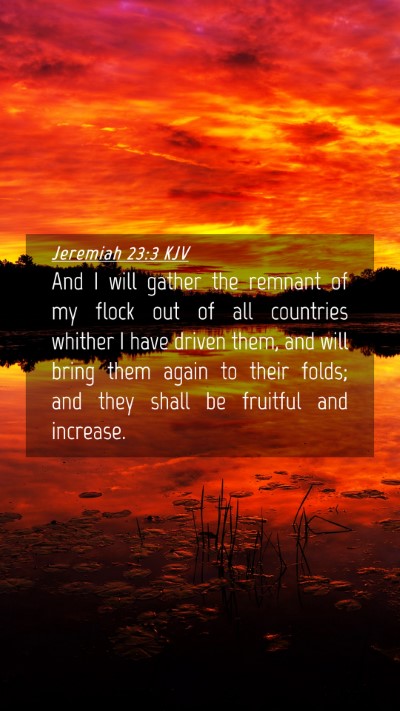 Picture 04 - Jeremiah 23:3 KJV Mobile Phone Wallpaper - And I will gather the remnant of my flock out of - Mobile Bible Verse Wallpaper