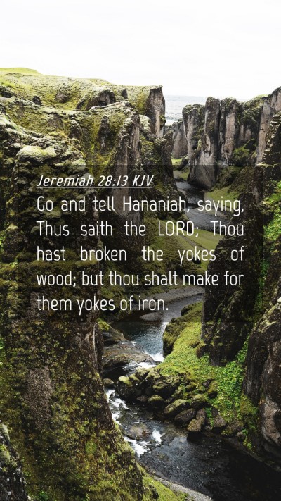 Picture 04 - Jeremiah 28:13 KJV Mobile Phone Wallpaper - Go and tell Hananiah, saying, Thus saith the - Mobile Bible Verse Wallpaper