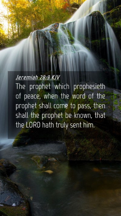 Picture 04 - Jeremiah 28:9 KJV Mobile Phone Wallpaper - The prophet which prophesieth of peace, when the - Mobile Bible Verse Wallpaper