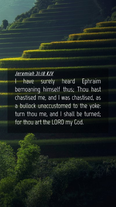 Picture 04 - Jeremiah 31:18 KJV Mobile Phone Wallpaper - I have surely heard Ephraim bemoaning himself - Mobile Bible Verse Wallpaper
