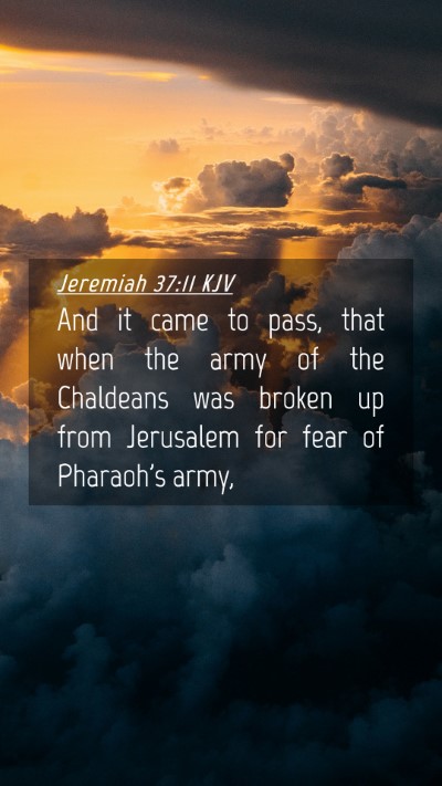 Picture 04 - Jeremiah 37:11 KJV Mobile Phone Wallpaper - And it came to pass, that when the army of the - Mobile Bible Verse Wallpaper