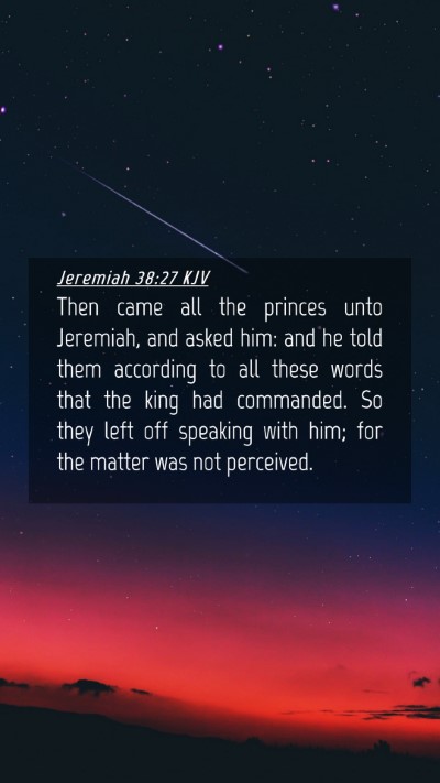 Picture 04 - Jeremiah 38:27 KJV Mobile Phone Wallpaper - Then came all the princes unto Jeremiah, and - Mobile Bible Verse Wallpaper