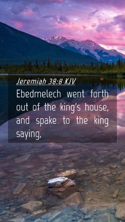 Picture 04 - Jeremiah 38:8 KJV Mobile Phone Wallpaper - Ebedmelech went forth out of the king's house, - Mobile Bible Verse Wallpaper