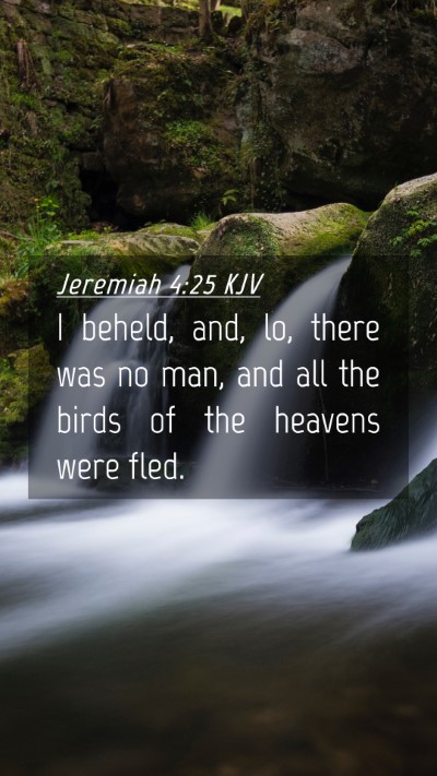 Picture 04 - Jeremiah 4:25 KJV Mobile Phone Wallpaper - I beheld, and, lo, there was no man, and all the - Mobile Bible Verse Wallpaper