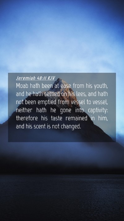 Picture 04 - Jeremiah 48:11 KJV Mobile Phone Wallpaper - Moab hath been at ease from his youth, and he - Mobile Bible Verse Wallpaper