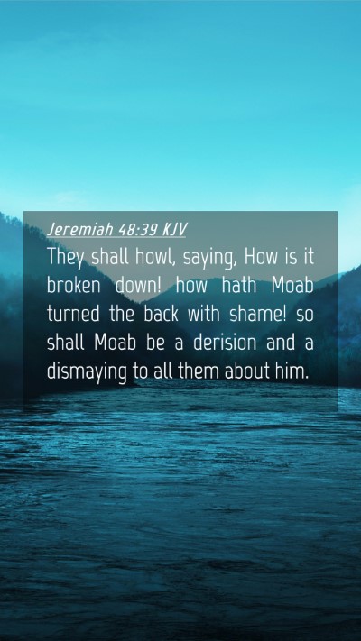Picture 04 - Jeremiah 48:39 KJV Mobile Phone Wallpaper - They shall howl, saying, How is it broken down! - Mobile Bible Verse Wallpaper