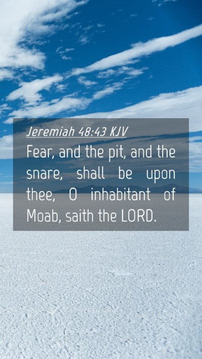 Picture 04 - Jeremiah 48:43 KJV Mobile Phone Wallpaper - Fear, and the pit, and the snare, shall be upon - Mobile Bible Verse Wallpaper