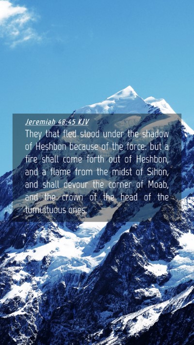 Picture 04 - Jeremiah 48:45 KJV Mobile Phone Wallpaper - They that fled stood under the shadow of Heshbon - Mobile Bible Verse Wallpaper