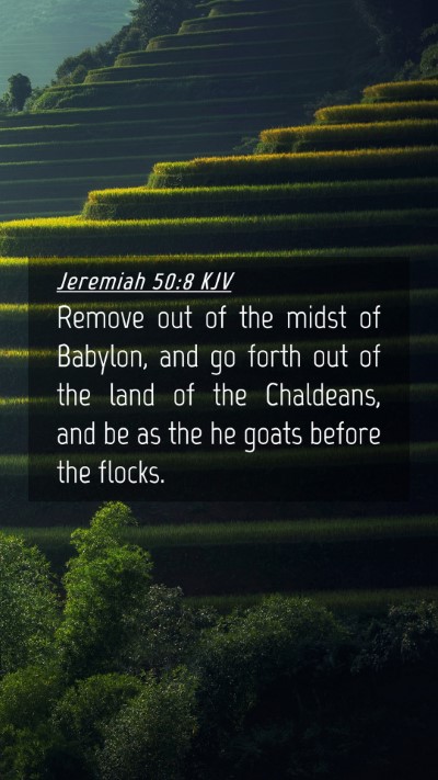 Picture 04 - Jeremiah 50:8 KJV Mobile Phone Wallpaper - Remove out of the midst of Babylon, and go forth - Mobile Bible Verse Wallpaper