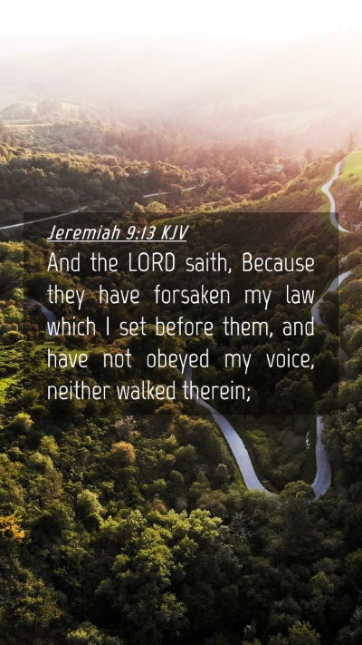 Picture 04 - Jeremiah 9:13 KJV Mobile Phone Wallpaper - And the LORD saith, Because they have forsaken my - Mobile Bible Verse Wallpaper