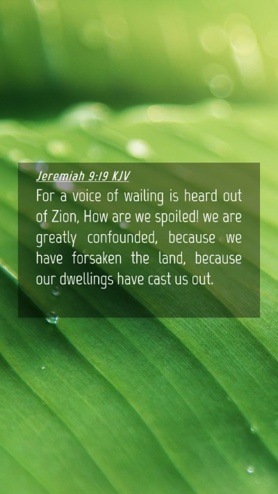 Picture 04 - Jeremiah 9:19 KJV Mobile Phone Wallpaper - For a voice of wailing is heard out of Zion, How - Mobile Bible Verse Wallpaper