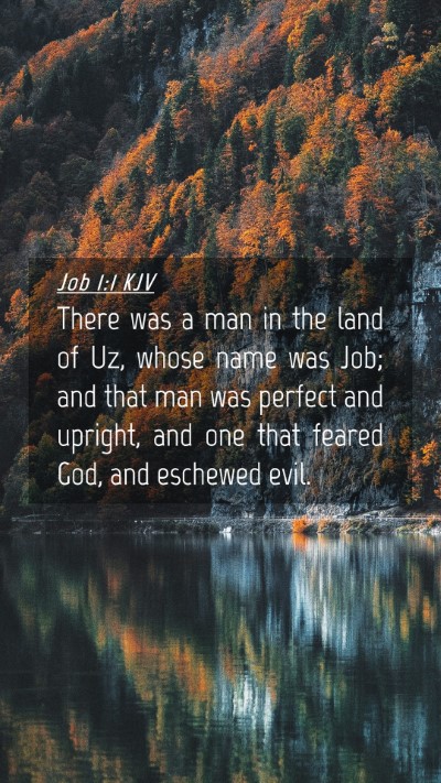 Picture 04 - Job 1:1 KJV Mobile Phone Wallpaper - There was a man in the land of Uz, whose name was - Mobile Bible Verse Wallpaper