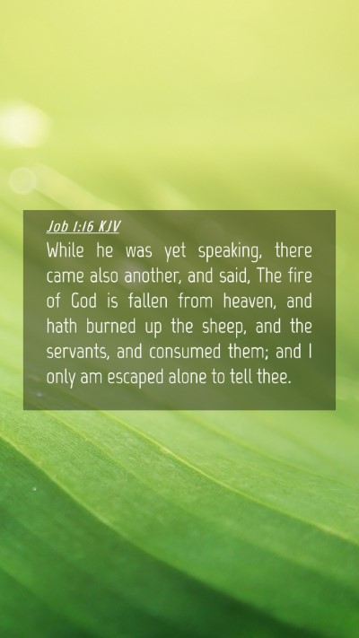 Picture 04 - Job 1:16 KJV Mobile Phone Wallpaper - While he was yet speaking, there came also - Mobile Bible Verse Wallpaper