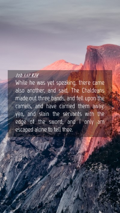 Picture 04 - Job 1:17 KJV Mobile Phone Wallpaper - While he was yet speaking, there came also - Mobile Bible Verse Wallpaper