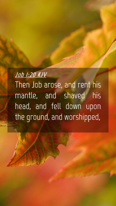 Picture 04 - Job 1:20 KJV Mobile Phone Wallpaper - Then Job arose, and rent his mantle, and shaved - Mobile Bible Verse Wallpaper