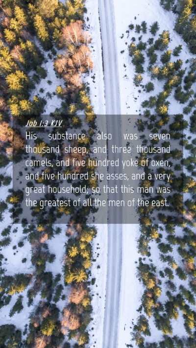 Picture 04 - Job 1:3 KJV Mobile Phone Wallpaper - His substance also was seven thousand sheep, and - Mobile Bible Verse Wallpaper