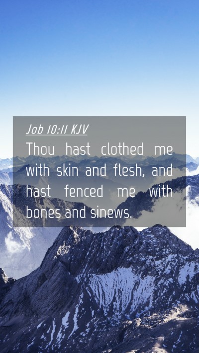 Picture 04 - Job 10:11 KJV Mobile Phone Wallpaper - Thou hast clothed me with skin and flesh, and - Mobile Bible Verse Wallpaper