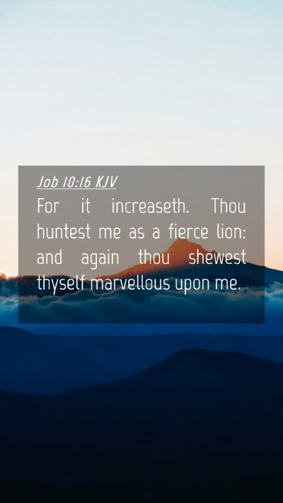 Picture 04 - Job 10:16 KJV Mobile Phone Wallpaper - For it increaseth. Thou huntest me as a fierce - Mobile Bible Verse Wallpaper
