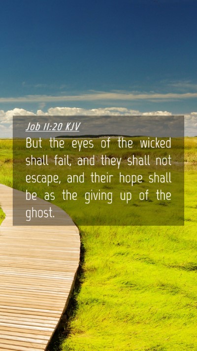 Picture 04 - Job 11:20 KJV Mobile Phone Wallpaper - But the eyes of the wicked shall fail, and they - Mobile Bible Verse Wallpaper