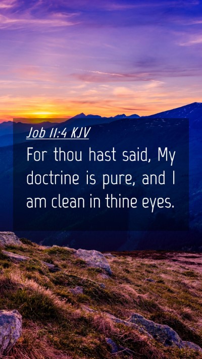 Picture 04 - Job 11:4 KJV Mobile Phone Wallpaper - For thou hast said, My doctrine is pure, and I am - Mobile Bible Verse Wallpaper