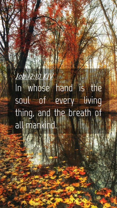 Picture 04 - Job 12:10 KJV Mobile Phone Wallpaper - In whose hand is the soul of every living thing, - Mobile Bible Verse Wallpaper
