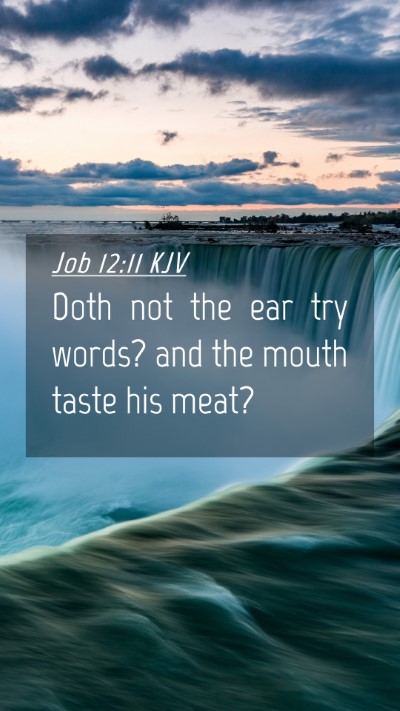 Picture 04 - Job 12:11 KJV Mobile Phone Wallpaper - Doth not the ear try words? and the mouth taste - Mobile Bible Verse Wallpaper