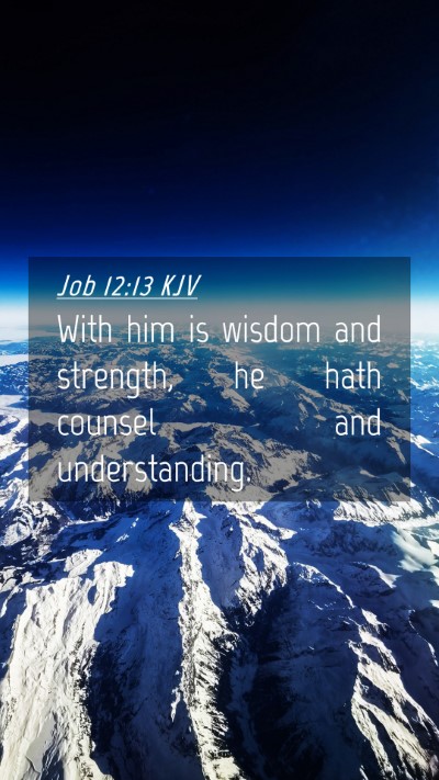 Picture 04 - Job 12:13 KJV Mobile Phone Wallpaper - With him is wisdom and strength, he hath counsel - Mobile Bible Verse Wallpaper
