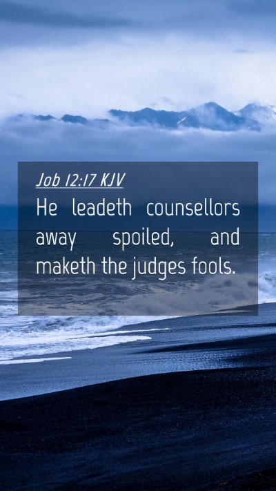 Picture 04 - Job 12:17 KJV Mobile Phone Wallpaper - He leadeth counsellors away spoiled, and maketh - Mobile Bible Verse Wallpaper