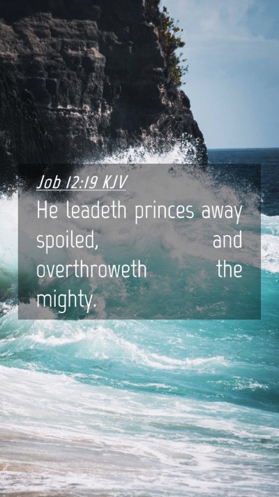 Picture 04 - Job 12:19 KJV Mobile Phone Wallpaper - He leadeth princes away spoiled, and overthroweth - Mobile Bible Verse Wallpaper