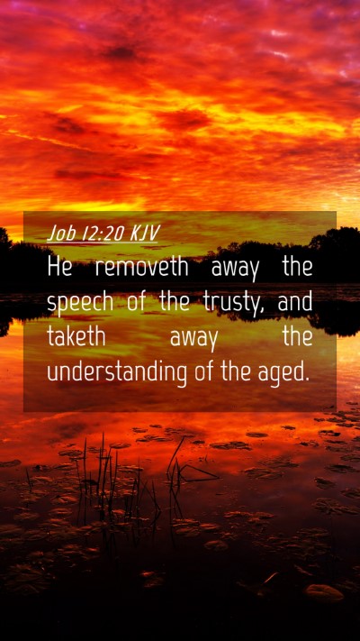 Picture 04 - Job 12:20 KJV Mobile Phone Wallpaper - He removeth away the speech of the trusty, and - Mobile Bible Verse Wallpaper