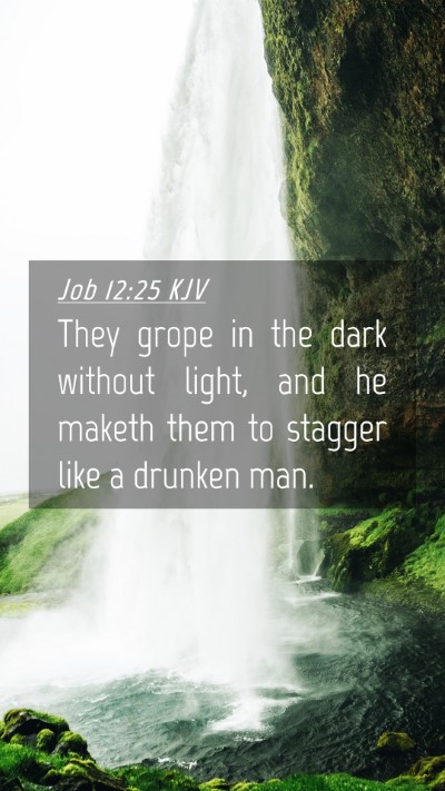 Picture 04 - Job 12:25 KJV Mobile Phone Wallpaper - They grope in the dark without light, and he - Mobile Bible Verse Wallpaper