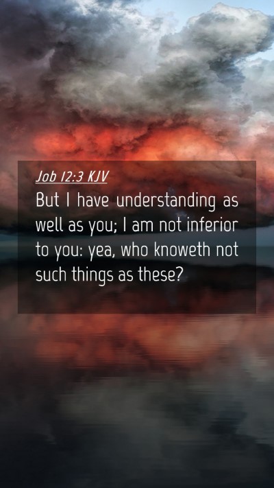 Picture 04 - Job 12:3 KJV Mobile Phone Wallpaper - But I have understanding as well as you; I am not - Mobile Bible Verse Wallpaper