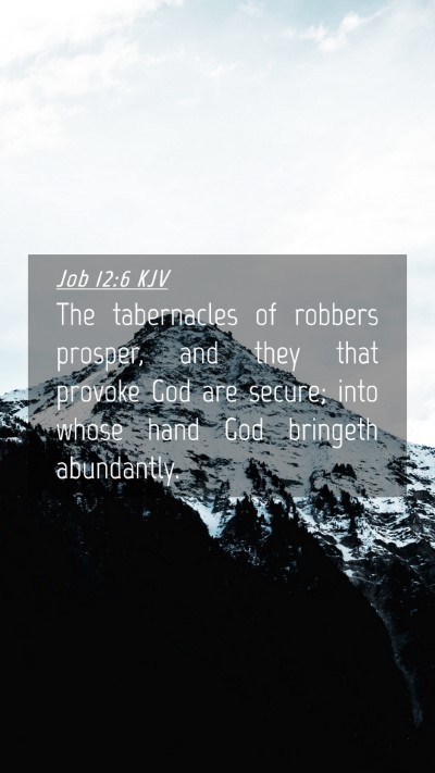 Picture 04 - Job 12:6 KJV Mobile Phone Wallpaper - The tabernacles of robbers prosper, and they that - Mobile Bible Verse Wallpaper