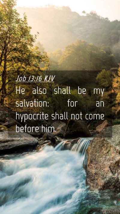 Picture 04 - Job 13:16 KJV Mobile Phone Wallpaper - He also shall be my salvation: for an hypocrite - Mobile Bible Verse Wallpaper
