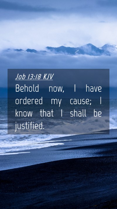 Picture 04 - Job 13:18 KJV Mobile Phone Wallpaper - Behold now, I have ordered my cause; I know that - Mobile Bible Verse Wallpaper