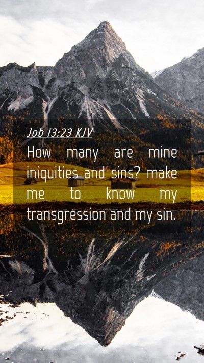 Picture 04 - Job 13:23 KJV Mobile Phone Wallpaper - How many are mine iniquities and sins? make me to - Mobile Bible Verse Wallpaper