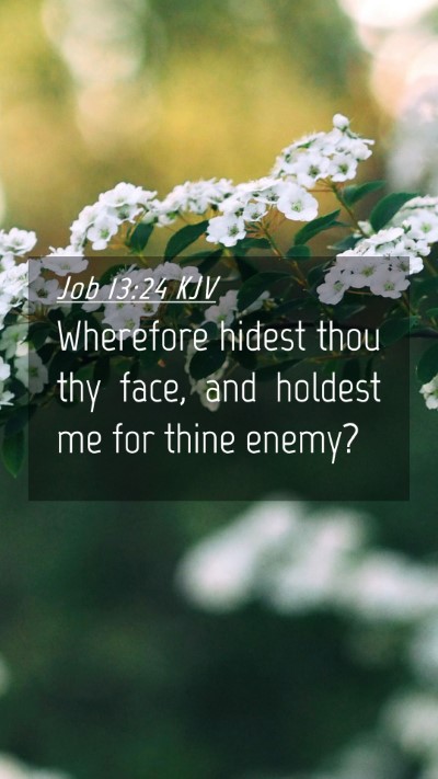 Picture 04 - Job 13:24 KJV Mobile Phone Wallpaper - Wherefore hidest thou thy face, and holdest me - Mobile Bible Verse Wallpaper