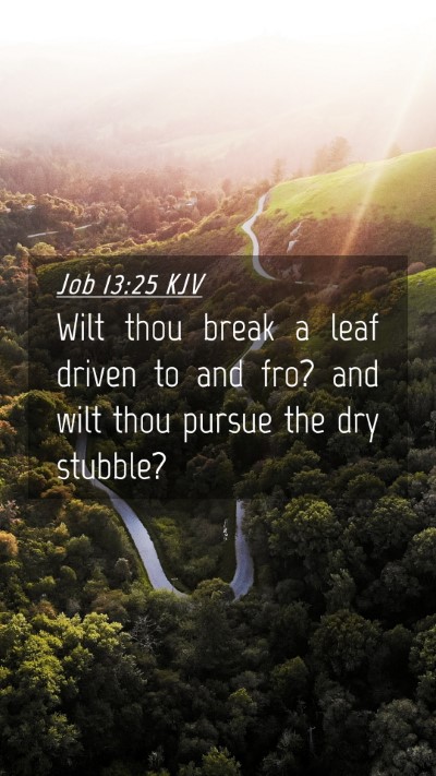 Picture 04 - Job 13:25 KJV Mobile Phone Wallpaper - Wilt thou break a leaf driven to and fro? and - Mobile Bible Verse Wallpaper
