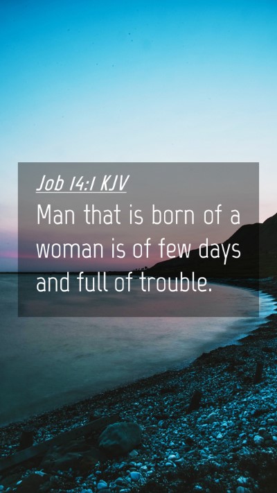 Picture 04 - Job 14:1 KJV Mobile Phone Wallpaper - Man that is born of a woman is of few days and - Mobile Bible Verse Wallpaper