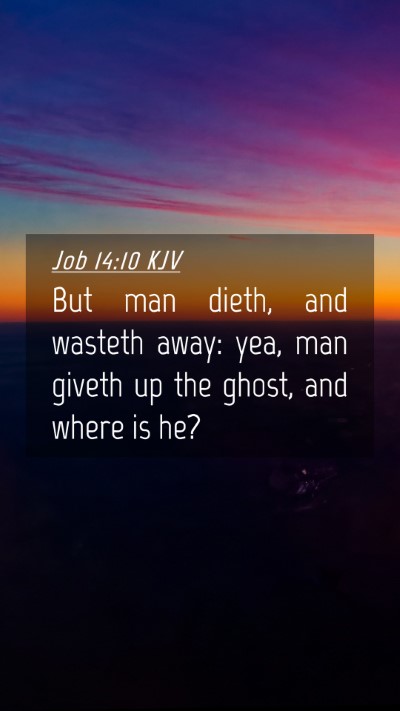 Picture 04 - Job 14:10 KJV Mobile Phone Wallpaper - But man dieth, and wasteth away: yea, man giveth - Mobile Bible Verse Wallpaper