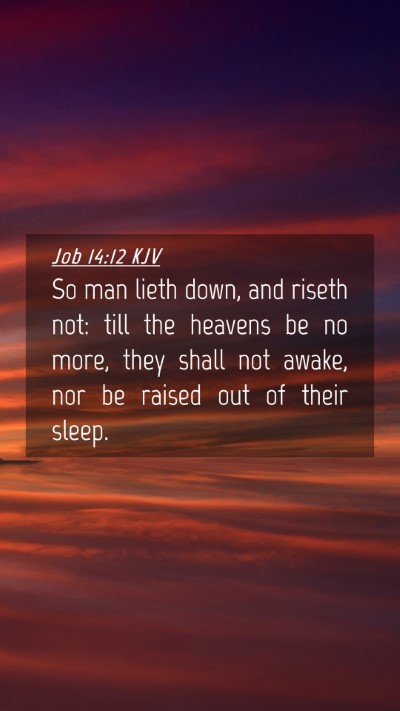 Picture 04 - Job 14:12 KJV Mobile Phone Wallpaper - So man lieth down, and riseth not: till the - Mobile Bible Verse Wallpaper