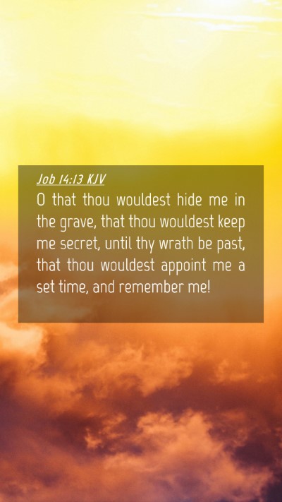 Picture 04 - Job 14:13 KJV Mobile Phone Wallpaper - O that thou wouldest hide me in the grave, that - Mobile Bible Verse Wallpaper