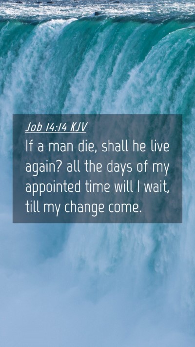 Picture 04 - Job 14:14 KJV Mobile Phone Wallpaper - If a man die, shall he live again? all the days - Mobile Bible Verse Wallpaper