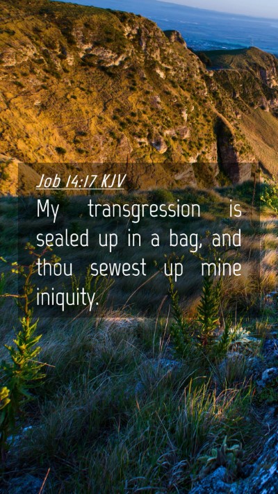 Picture 04 - Job 14:17 KJV Mobile Phone Wallpaper - My transgression is sealed up in a bag, and thou - Mobile Bible Verse Wallpaper