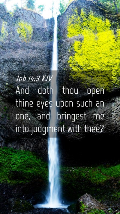 Picture 04 - Job 14:3 KJV Mobile Phone Wallpaper - And doth thou open thine eyes upon such an one, - Mobile Bible Verse Wallpaper