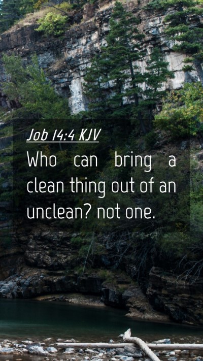 Picture 04 - Job 14:4 KJV Mobile Phone Wallpaper - Who can bring a clean thing out of an unclean? - Mobile Bible Verse Wallpaper