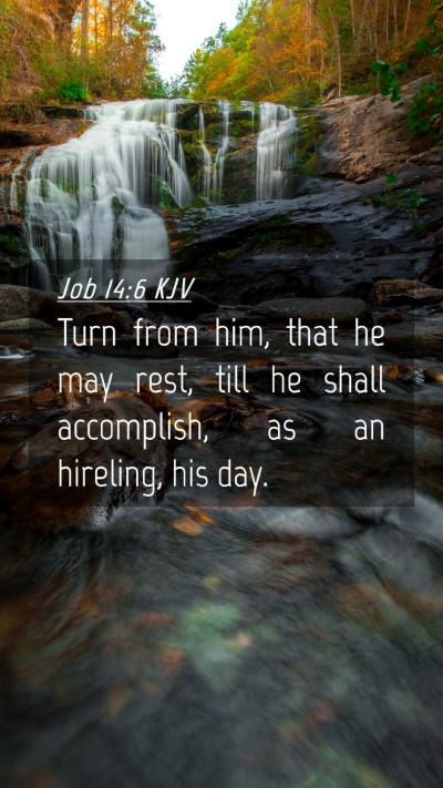 Picture 04 - Job 14:6 KJV Mobile Phone Wallpaper - Turn from him, that he may rest, till he shall - Mobile Bible Verse Wallpaper