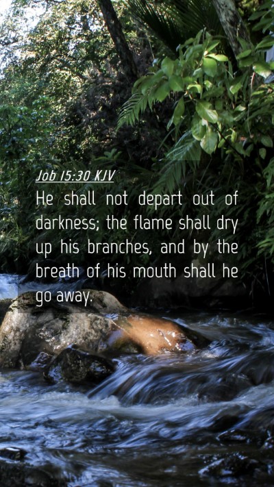 Picture 04 - Job 15:30 KJV Mobile Phone Wallpaper - He shall not depart out of darkness; the flame - Mobile Bible Verse Wallpaper