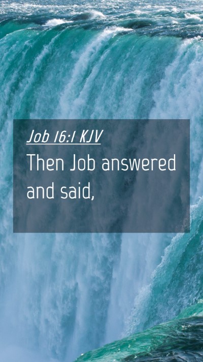 Picture 04 - Job 16:1 KJV Mobile Phone Wallpaper - Then Job answered and - Mobile Bible Verse Wallpaper