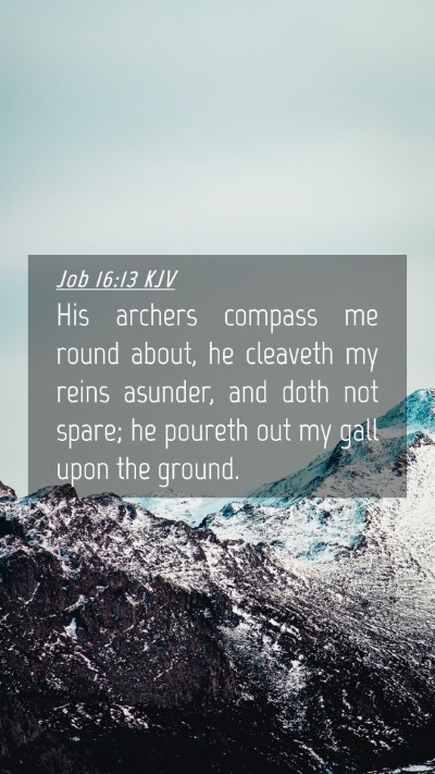 Picture 04 - Job 16:13 KJV Mobile Phone Wallpaper - His archers compass me round about, he cleaveth - Mobile Bible Verse Wallpaper
